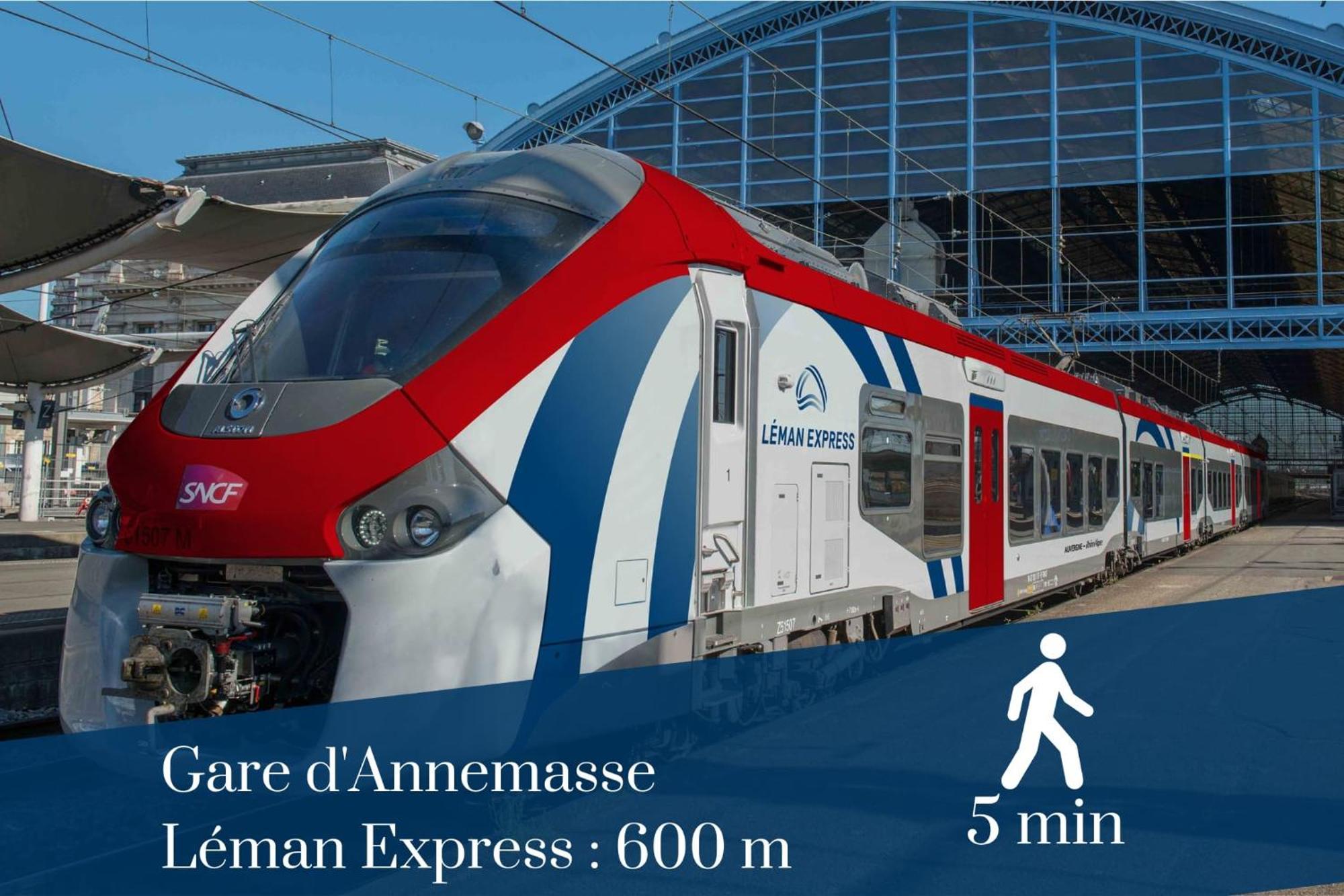 Homey Forest - Hypercentre - Proche Gare Et Tram - Wifi & Netflix Annemasse Dış mekan fotoğraf